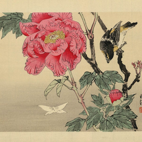 Japanese Art. Fine Art Reproduction.  A bird on a branch watching a butterfly, c. 1890: Fine Art Print