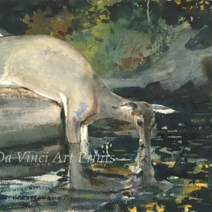 Winslow Homer Watercolor Reproductions. Drinking Deer, 1892. Fine Art Print.