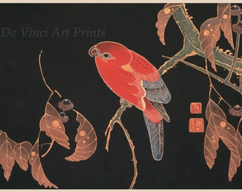 Japanese Art. Fine Art Reproduction.  Red Parrot on a Branch, Surimono Print by Ito Jakuchu. Fine Art Print