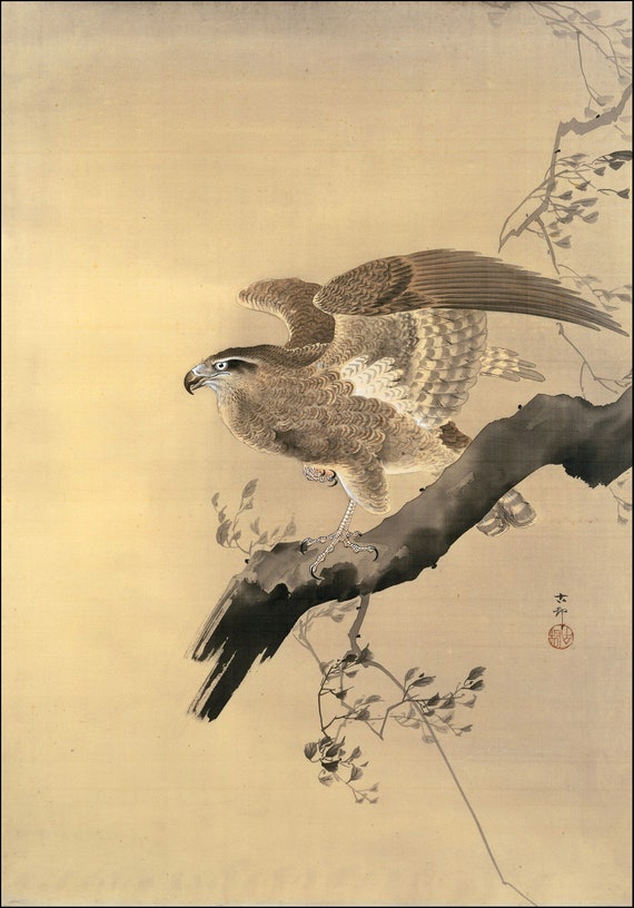 Japanese Art Reproduction. Hawk With Outstretched Wings C. 