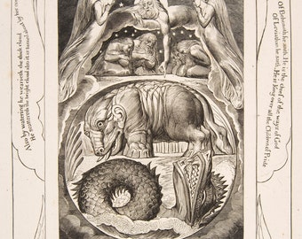 The Prints of William Blake.  Illustrations for The Book of Job, 1825-6: The Behemoth and Leviathan plate 15. Fine Art Reproduction.