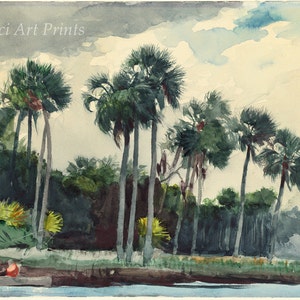 Winslow Homer Watercolor Reproductions. Red Shirt, Homosassa, Florida - 1904. Fine Art Print.