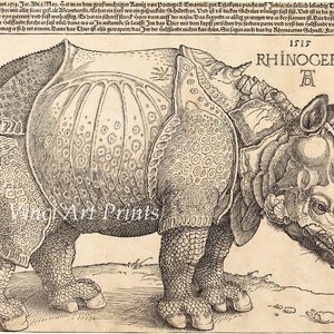 Fine Art Reproduction. The Rhinoceros, 1515 by Albrecht Durer. Fine Art Print.