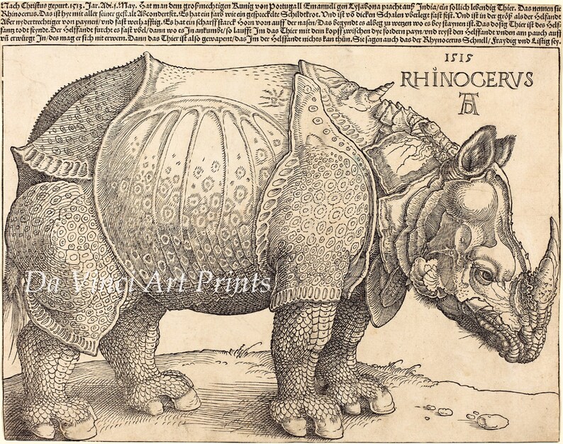 Fine Art Reproduction. The Rhinoceros, 1515 by Albrecht Durer. Fine Art Print. image 1