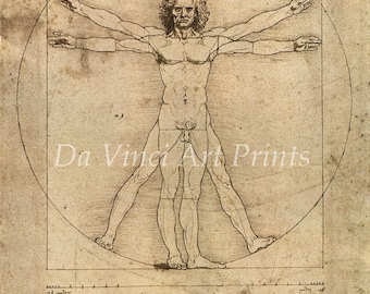 Fine Art Reproduction. The Vitruvian Man, c. 1490. Leonardo da Vinci Drawing - Fine Art Print.