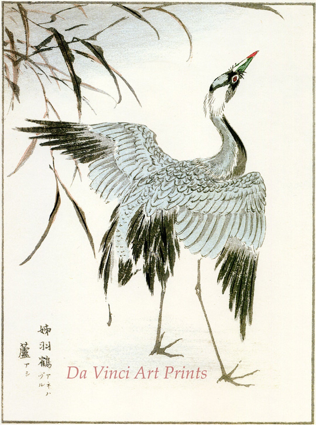 Japanese Art. Woodblock Bird and Flower Print Reproductions: Kashu