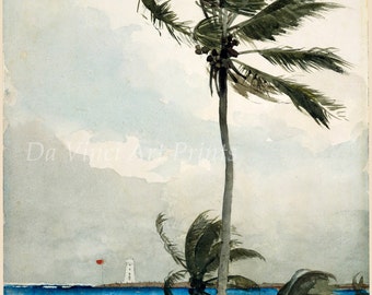 Winslow Homer Watercolor Reproductions. Palm Tree, Nassau - 1898. Fine Art Print.