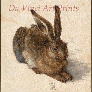 May include: A detailed watercolor painting of a brown hare with long ears, lying on its belly with its head turned to the side. The hare's fur is depicted with great realism, showing individual hairs. The background is a light beige, and the painting is signed "A.D. 1502" in the lower right corner.