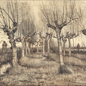 Pollard Birches, 1884. Drawing by Vincent van Gogh. Fine Art Print Reproduction.