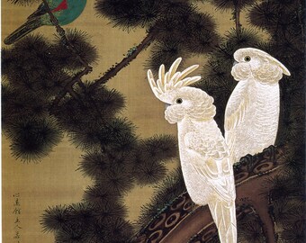 Japanese Art. Fine Art Reproduction.  Cockatoos on a Pine Branch, c.1761 by Ito Jakuchu. Fine Art Print