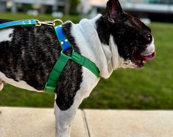 Step-In Harness, Thick Neck Friendly, Broad Chest Fit, Quick Clip Buckle, Gold Hardware (S-L)
