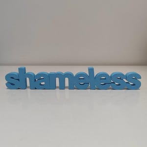 Tabliczka z logo Shameless – dekoracyjna tabliczka z serialu Shameless, 23 x 4 cm – prezent dla fana serialu Gallagher Chicago South Side