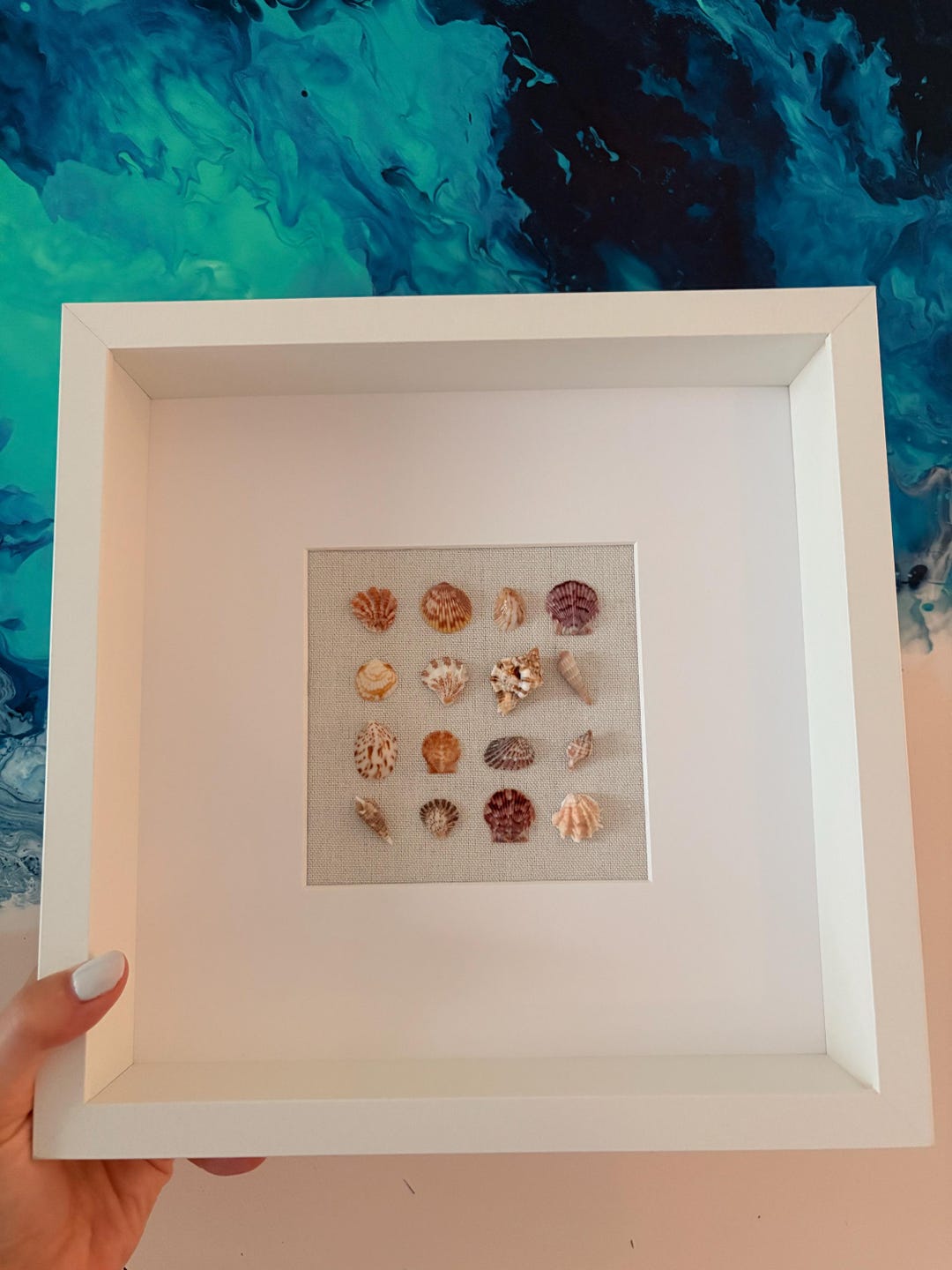 Tiny Seashell Grid Shadow Box - Etsy