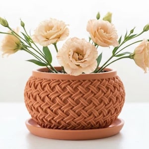 Puede incluir: Una maceta redonda de terracota con un patrón exterior de tejido de cesta, apoyada sobre un plato circular a juego. La maceta contiene varias flores de color melocotón pálido con tallos y capullos verdes que se extienden hacia arriba.