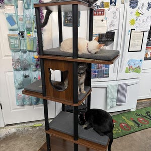 May include: A multi-level cat tree with a dark wood grain finish and black support poles. It features four platforms with grey fabric cushions and a central enclosed cubby with a cat-shaped cutout. Four cats of various colors occupy the structure.