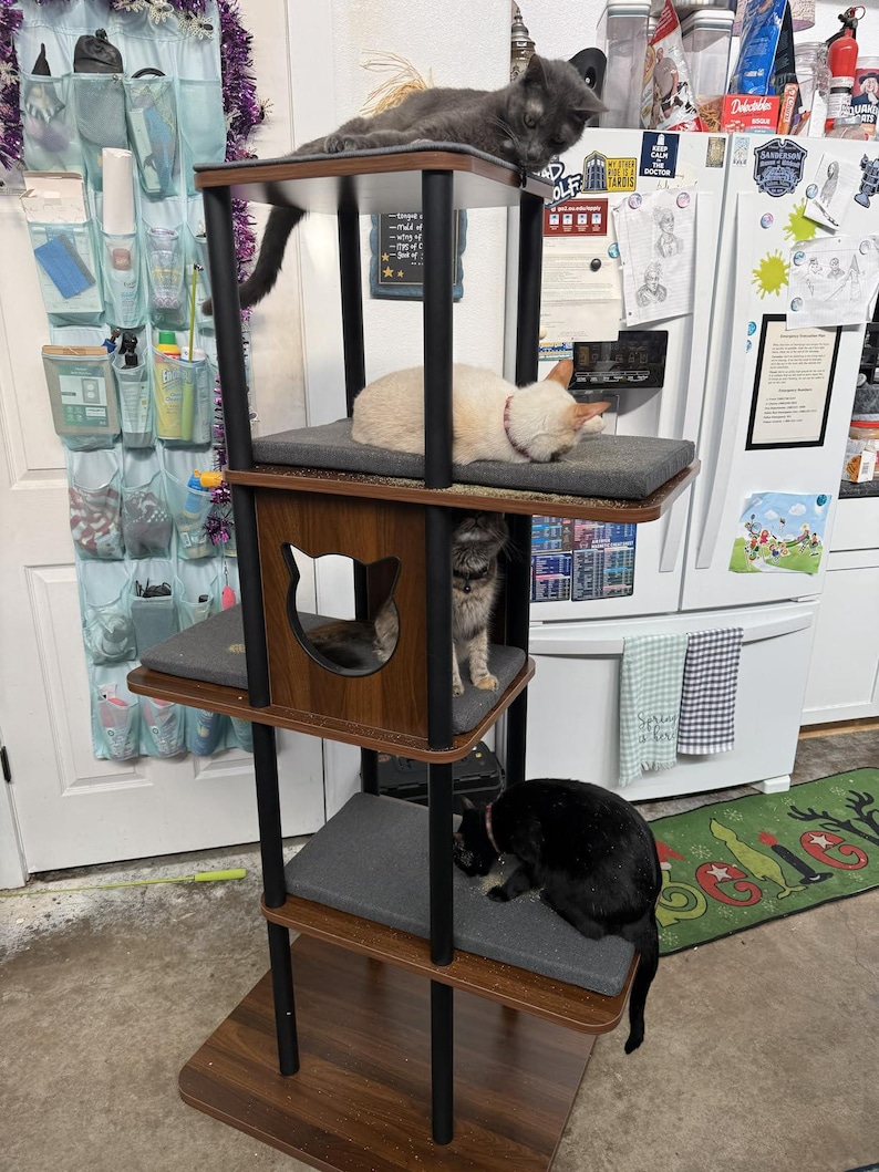 May include: A multi-level cat tree with a dark wood grain finish and black support poles. It features four platforms with grey fabric cushions and a central enclosed cubby with a cat-shaped cutout. Four cats of various colors occupy the structure.