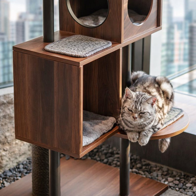 May include: A multi-level cat tree with a dark wood finish. The cat tree has multiple platforms, a scratching post, and two circular openings. A gray and white cat is resting on one of the platforms. The cat tree is near a window.