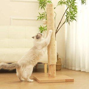 KONELCARE 35" Natural Pear Wood Trunk Cat Scratcher | Ultra-Stable Solid Wood Base
