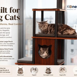 May include: A multi-level cat tree with a dark wood finish and black support pillars. It features a top platform, a middle enclosed cubby with a cat-shaped opening, and a lower platform. Each level includes a gray cushion. Text reads Built for Big Cats.