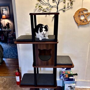 May include: A multi-level cat tree featuring a dark wood finish, black support pillars, and grey fabric platforms. The structure includes a central enclosed cubby with a cat-shaped cutout and a black and white cat sitting on the top level.