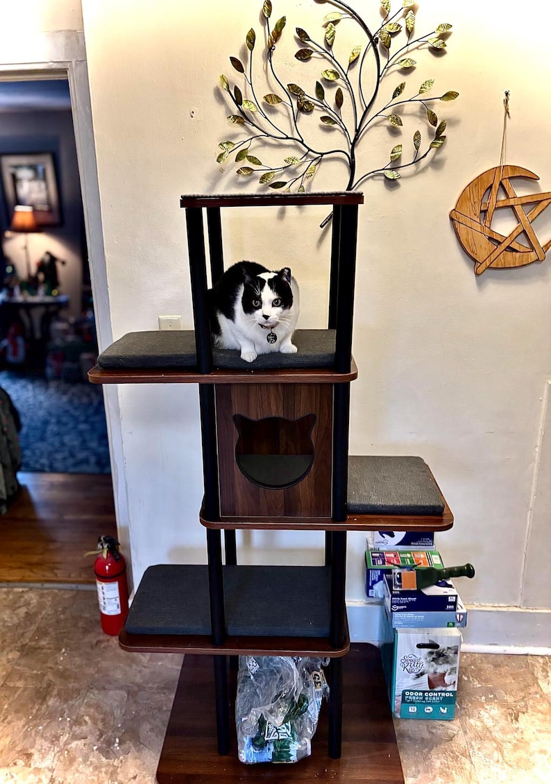 May include: A multi-level cat tree featuring a dark wood finish, black support pillars, and grey fabric platforms. The structure includes a central enclosed cubby with a cat-shaped cutout and a black and white cat sitting on the top level.