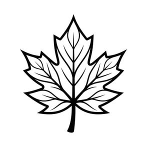 May include: A black and white line art illustration of a maple leaf. The design features a bold black outline with internal veins depicted as thinner black lines, creating a clear, high-contrast graphic representation of a single leaf.