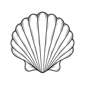 Op de afbeelding: Een zwart-witte lijntekening van een waaiervormige sint-jakobsschelp. Het ontwerp toont een symmetrische opstelling van verticale ribbels die uitstralen vanuit een centraal punt aan de basis, met een geschulpte rand langs de bovenzijde.