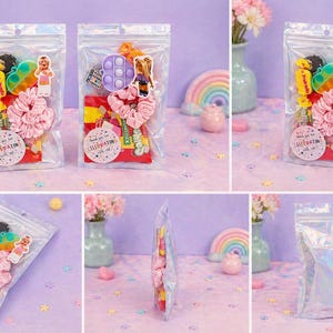 May include: A clear, resealable plastic pouch containing a collection of party favors, including a pink fabric scrunchie, a small colorful fidget toy, a character sticker, and a round tag with the text Thank you for celebrating with me.