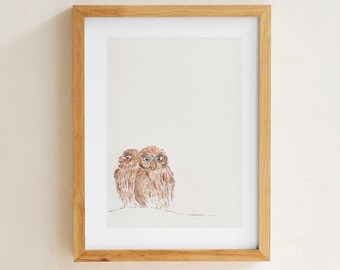 Little Owl Art print
