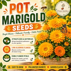 May include: Pot Marigold seeds packet featuring bright orange flowers in a ceramic pot, a bee, and a butterfly. Text includes Pot Marigold Seeds, Attracts Bees & Butterflies, Long Blooming Flowers, Edible Flower Petals, Easy to Grow, and Fresco Garden.