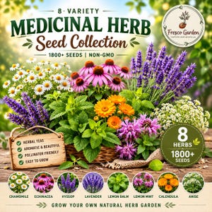 8 Herb Seed Collection 1800ct | Heirloom Herb Garden Seeds | Culinary & Tea Garden Variety Pack | Indoor Apothecary | Non GMO Seed Packets