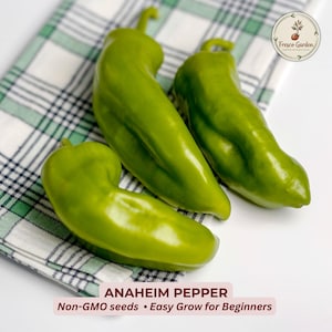 May include: Three vibrant green Anaheim peppers rest on a checkered cloth. The peppers have a smooth, elongated shape with a slight curve. Text at the bottom reads "ANAHEIM PEPPER" and "Non-GMO seeds • Easy Grow for Beginners". A logo for "Fresco Garden" is in the top right.