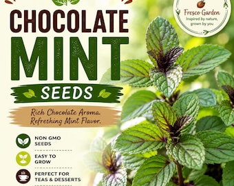 May include: Chocolate Mint seeds packaging featuring a vibrant green mint plant with dark purple stems. The text reads Chocolate Mint Seeds, Rich Chocolate Aroma, Refreshing Mint Flavor, Non GMO Seeds, Easy To Grow, Teas & Desserts, Aromatic & Refreshing.