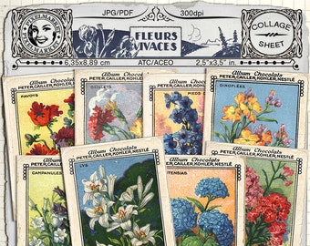 EPHEMERA FRANCESA Ilustraciones de FLORES antiguas Conjunto de 8 tarjetas botánicas florales imprimibles Hoja de collage digital descargar Scrapbooking Journal