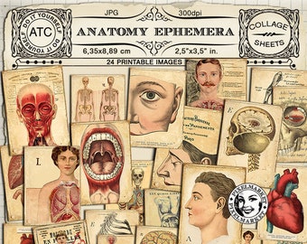 ANATOMY EPHEMERA Vintage medical illustrations Anatomy chart Printable collage sheet Atc Aceo card Pdf download Digital Scrapbooking