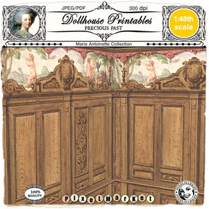 May include: A printable dollhouse wall panel design featuring a carved wooden panel with a floral wallpaper border. The wallpaper features a pastoral scene with figures and a fountain. The design is in 1:48th scale and is part of the Marie Antoinette Collection.
