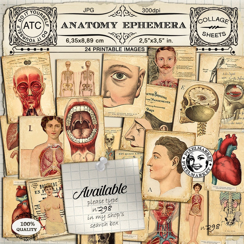 Vintage Printable Medical Illustrations ANATOMY Chart | Etsy
