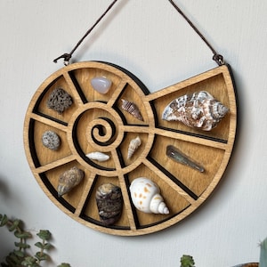 May include: Wooden seashell display in a spiral design, featuring a variety of seashells and small stones. The display is made of light brown wood with a black border and is suspended by a brown cord.