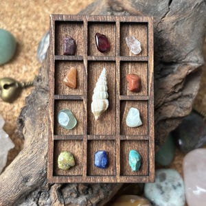 Può includere: Un espositore in legno con un motivo a griglia, contenente varie pietre preziose e una conchiglia. Le pietre preziose sono in tonalità di rosso, arancione, verde, blu e trasparente. L'espositore è posto su uno sfondo di legno naturale.