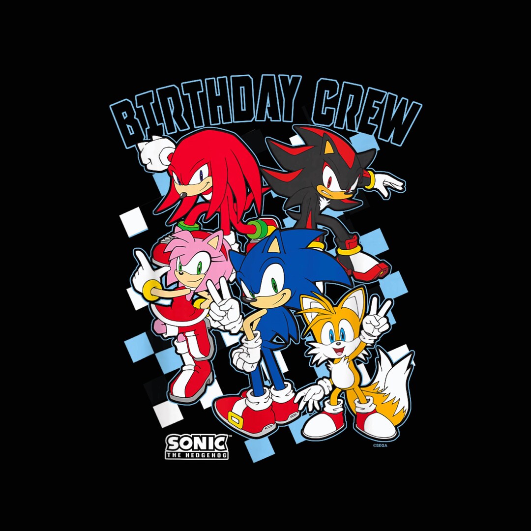 Sonic the Hedgehog Birthday Crew Group Shot Big Chest Logo – Gaming ...