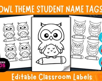 Owl Theme Student Name Tags Labels | Editable Classroom Organization | Desk Cubby Locker Labels | Back to School PowerPoint PDF Printable
