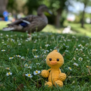 Peut inclure: Une petite figurine de caneton crochetée en jaune avec une tête ronde, un petit bec orange et deux yeux en perles noires. Le caneton possède deux petites ailes et deux pieds, le tout en fil jaune, assis droit dans de l'herbe verte et des pâquerettes.