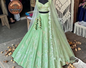 Pakistani Lehenga Choli, Indian Wedding Guest Outfit Party Wear Custom Size Ethnic Handmade Eid outfit