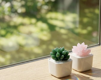 Handmade glass flowers, colorful glass plants, home decorations, gifts for mothers. Hand-blown glass flower pots, glass succulent figurines