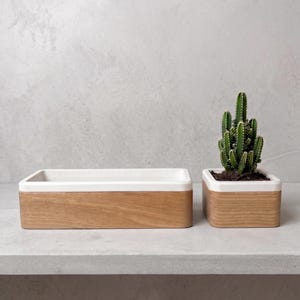 May include: A rectangular white ceramic planter with a light brown wooden base and a smaller square white ceramic planter with a light brown wooden base containing a green cactus with vertical ridges and small spines on the top surface.