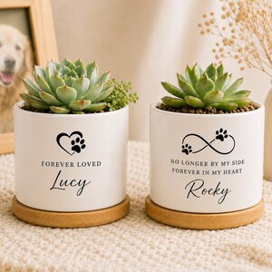 May include: Two white cylindrical ceramic planters with light wood bases, each containing a green succulent. The left planter features a heart with a paw print and the text 'FOREVER LOVED Lucy'. The right planter shows an infinity symbol with paw prints and the text 'NO LONGER BY MY SIDE FOREVER IN MY HEART Rocky'.