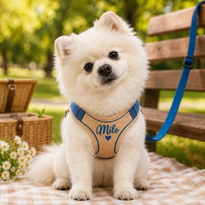 May include: A small white fluffy dog wearing a tan and blue dog harness with the name Milo and a small blue heart printed on the chest. The harness features blue trim and is attached to a matching blue leash that extends upward from the harness.