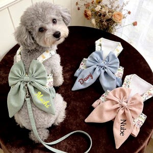 Coleira personalizada para cães, colete confortável e ajustável para cães de pequeno a médio porte, fácil de vestir, em malha macia, coleira personalizada para gatos com guia.