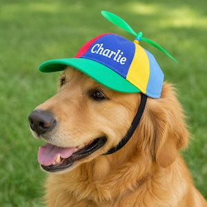 May include: A Golden Retriever wearing a colorful propeller hat. The hat is blue, red, yellow, and green, with the name "Charlie" printed on the front. A green propeller is attached to the top of the hat.
