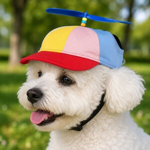 May include: A multi-colored baseball cap featuring a red brim, a yellow panel, a pink panel, and a light blue panel. A blue plastic propeller is attached to the top of the cap with small yellow, blue, and orange beads on the central post.